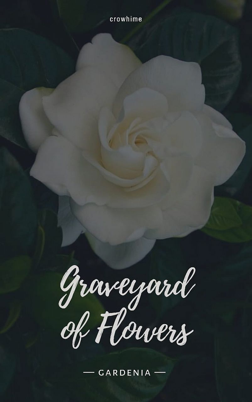 Graveyard of Flowers — Gardenia
