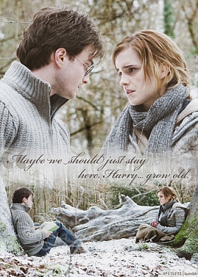 Harry e Hermione - da amizade ao amor
