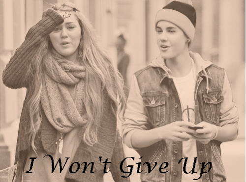 I Wont Give Up
