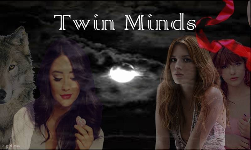 Twin Minds