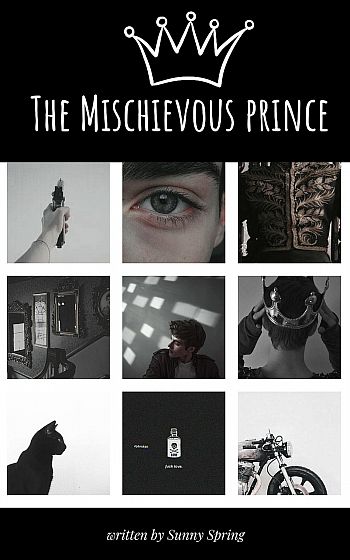 The Mischievous Prince - Spin-off