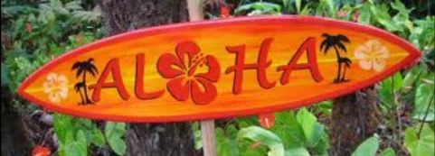 My New Hawaiian Life-1ªtemporada
