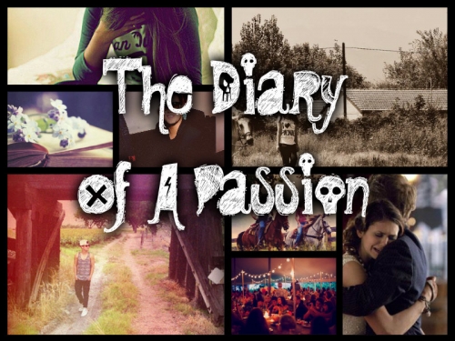 The Diary Of A Passion