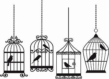 O Canto dos Pássaros