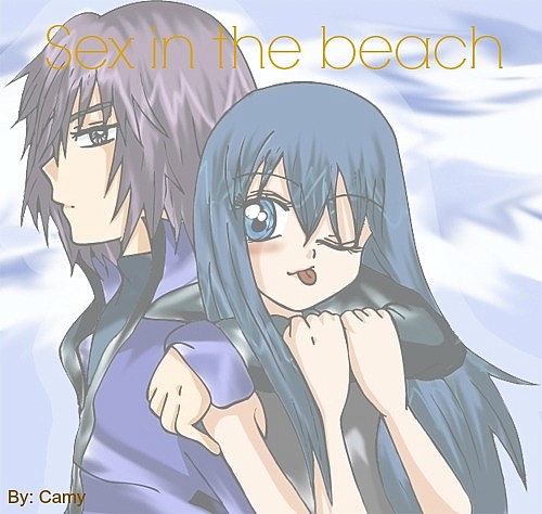 Sex in the beach