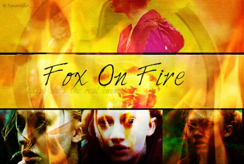 Fox On Fire