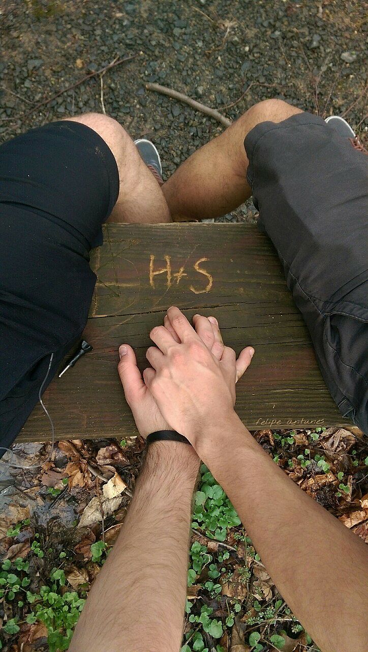 H + S