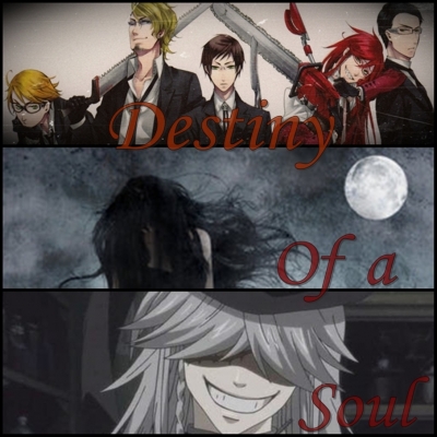 Destiny Of  A Soul