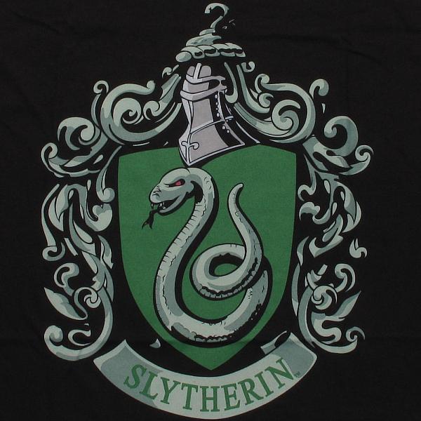 The Slytherin Champion