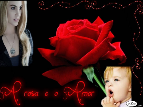 A Rosa e o Amor