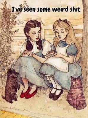 Dorothy in Wonderland