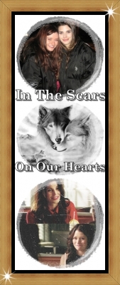 The Scars On Our Hearts.