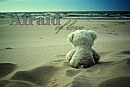 Afraid of love