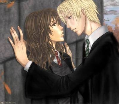Amor e Ódio - O diário de Hermione Granger