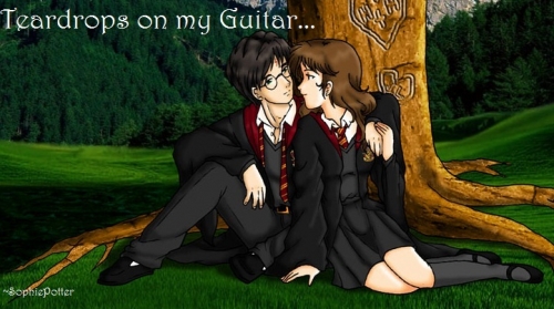 Teardrops On My Guitar- Harry E Hermione