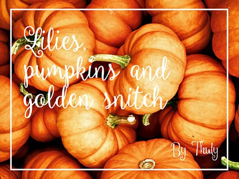 Lilies, pumpkins and golden snitch