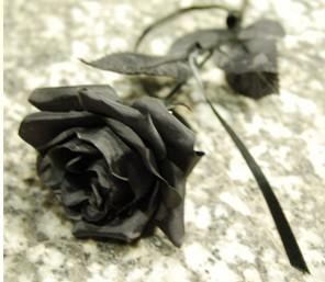 As Rosas Negras