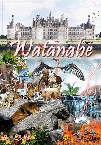 Watanabe - Interativa