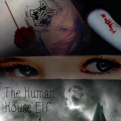 The Human House Elf
