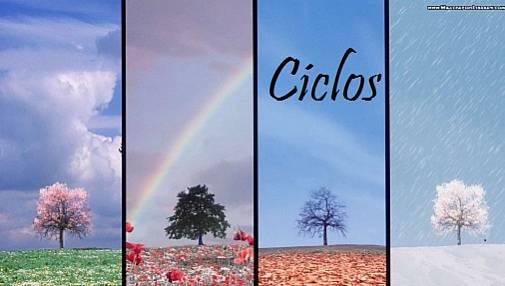 Ciclos