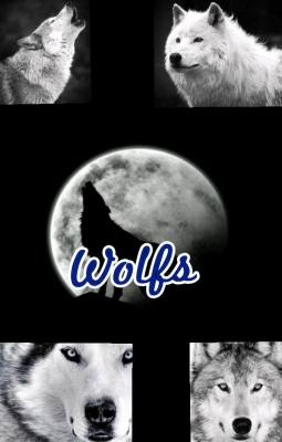 Wolfs [interativa]
