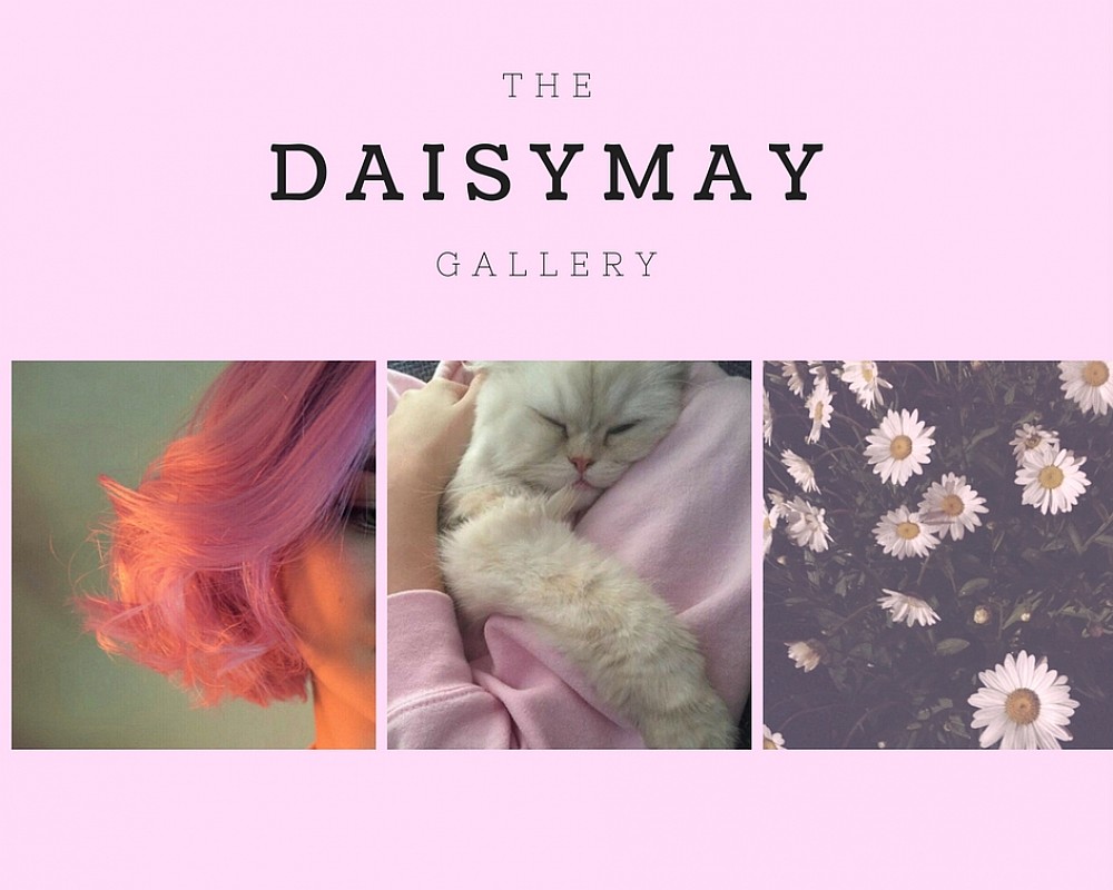 Daisymay Gallery