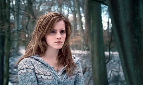 Hermione Granger e as Relíquias da Morte