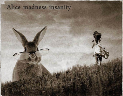 Alice Madness Insanity