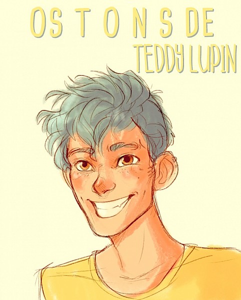Os Tons de Teddy Lupin