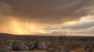 Chuva no Deserto