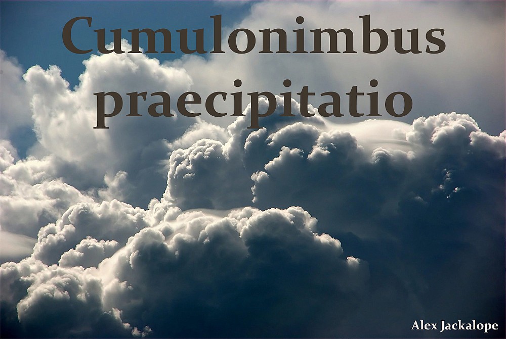 Cumulonimbus praecipitatio