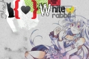 White Rabbit X Black Cat