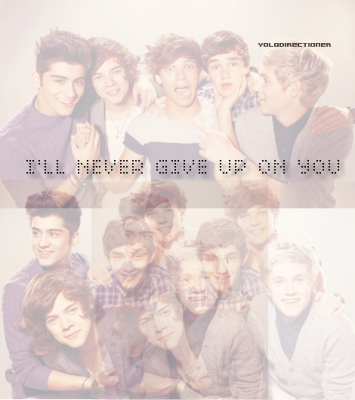 Ill Never Give Up On You