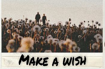 Make a wish - aokaga story