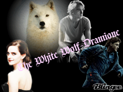The White Wolf - Dramione
