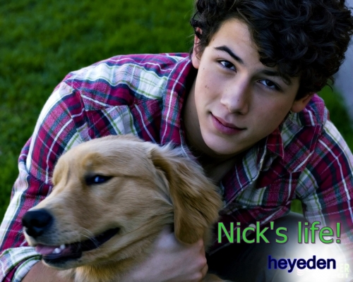 Nicks Life.