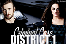 Criminal Case: District 1