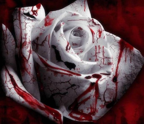 Rosas Sangrentas