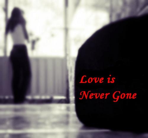 Love Is Never Gone