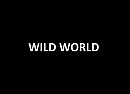 Wild World