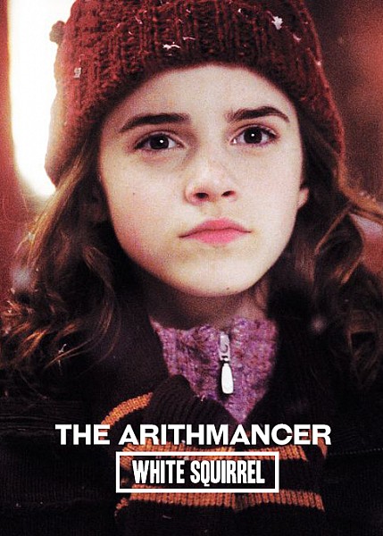 The Arithmancer