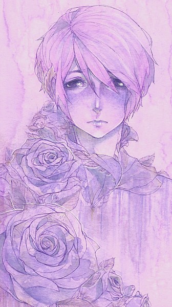 Roseira Púrpura
