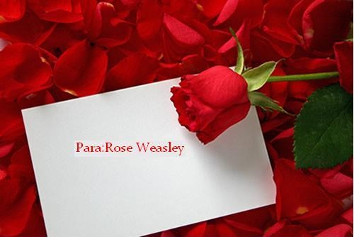 A Carta Para Rose