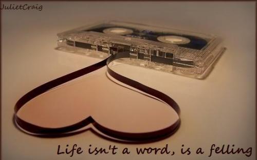 Life Isnt a Word, Is a Felling