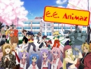 E. E. Animax