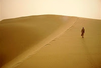 A Beldade Do Deserto