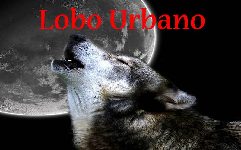 Lobo Urbano