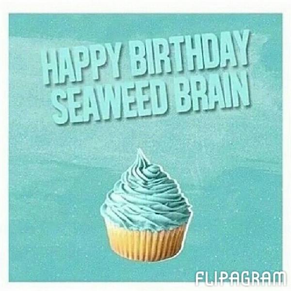 Happy Birthday, Seawead Brain!