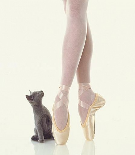 A bailarina e o gatinho