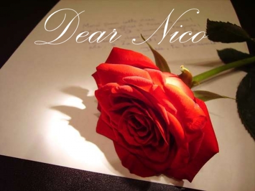 Dear Nico